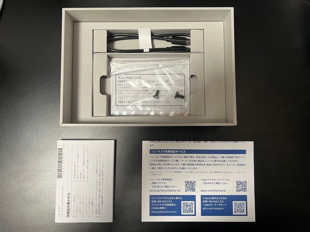 か*ん様 SONY NW-WM1AM2 (ケース+SDカード512GB付き)