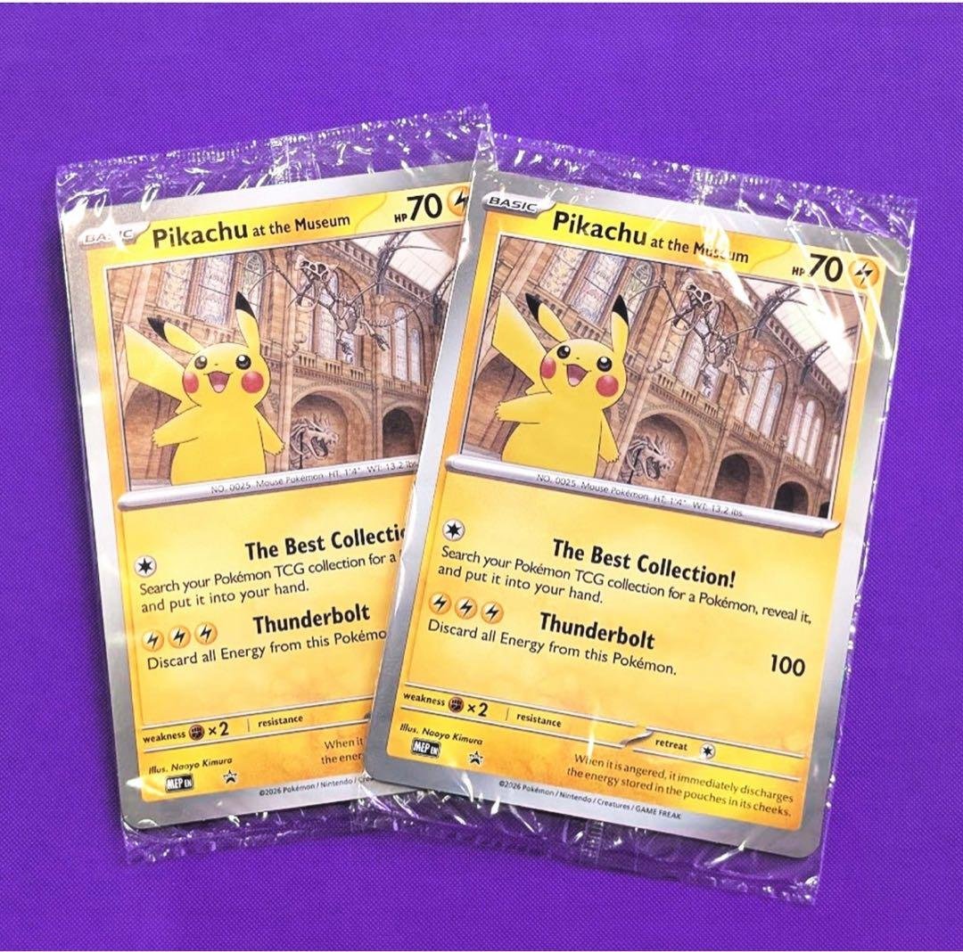 2枚セット Pikachu at the Museum ピカチュウ 自然史博物館