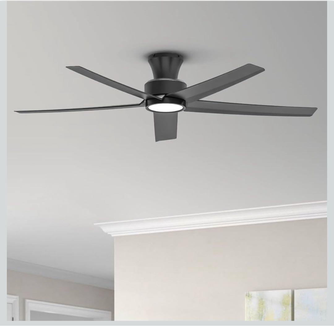 ブラックシーリングファンライト DCモーター