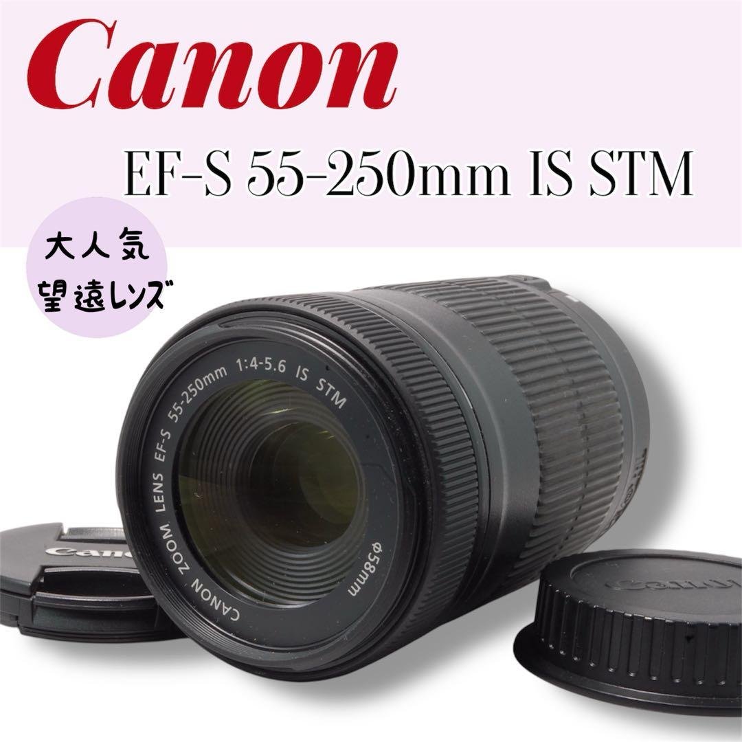 Canon EF-S 55-250mm IS STM 望遠レンズ 手ぶれ補正