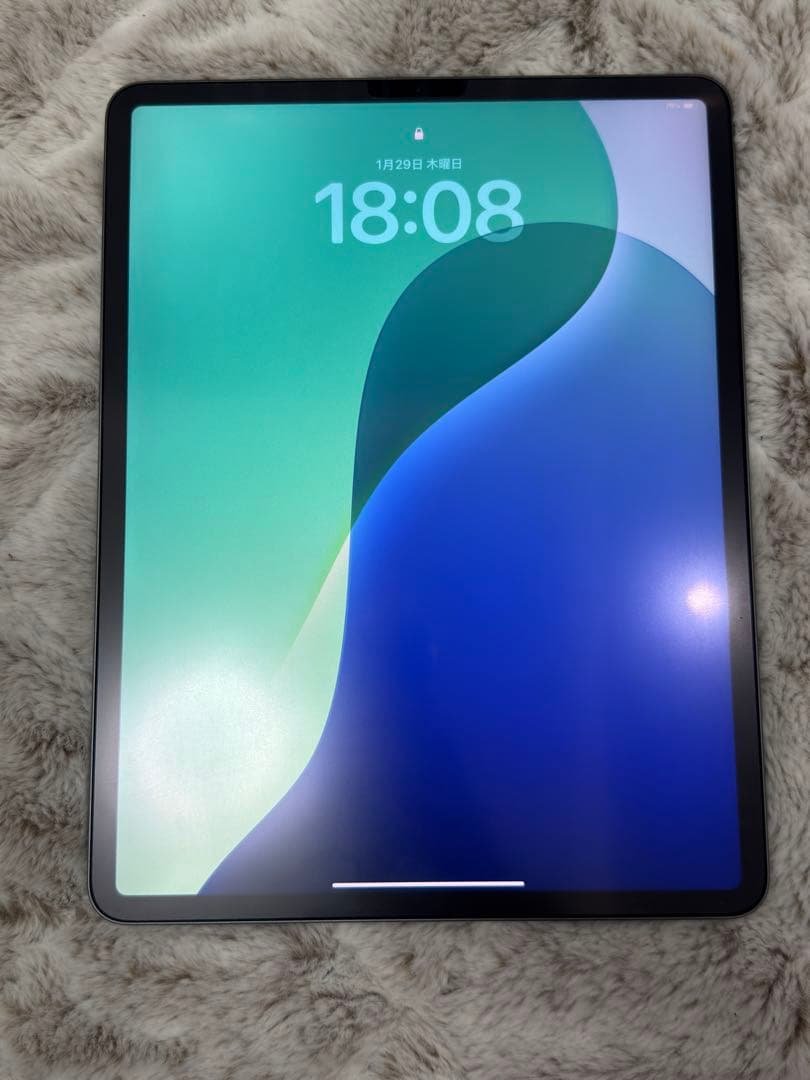 iPad pro 12.9 第4世代（256GB） スペースグレー